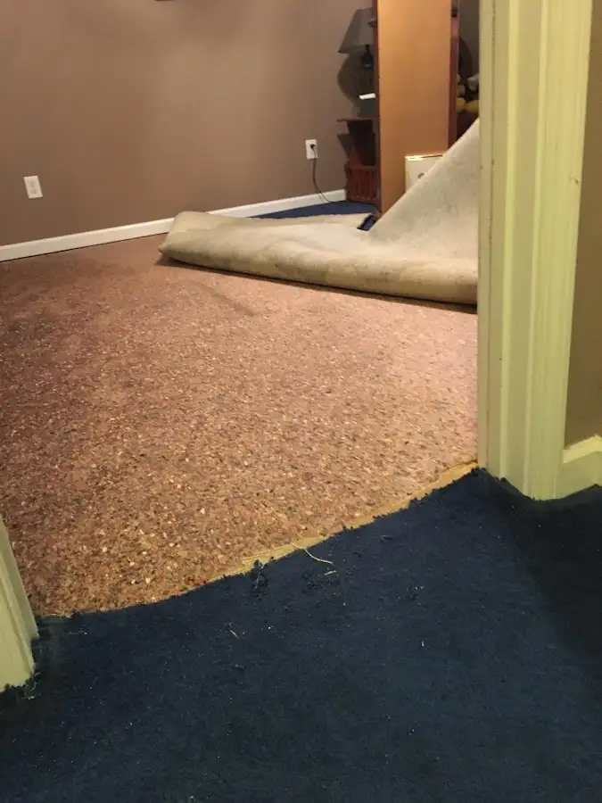 Carpet pad removal revealing water damage during Drying & Dehumidification in Brentwood